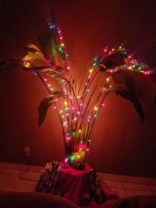 5 Unique Ways Christmas in Florida is Better 3 FB IMG 1512860099429