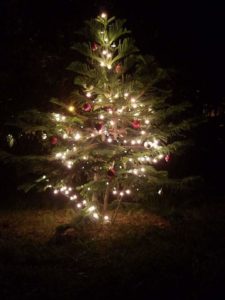 5 Unique Ways Christmas in Florida is Better 4 FB IMG 1512860111452