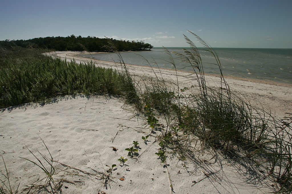 My Personal Florida Travel Bucket List 6 Florida travel bucket list