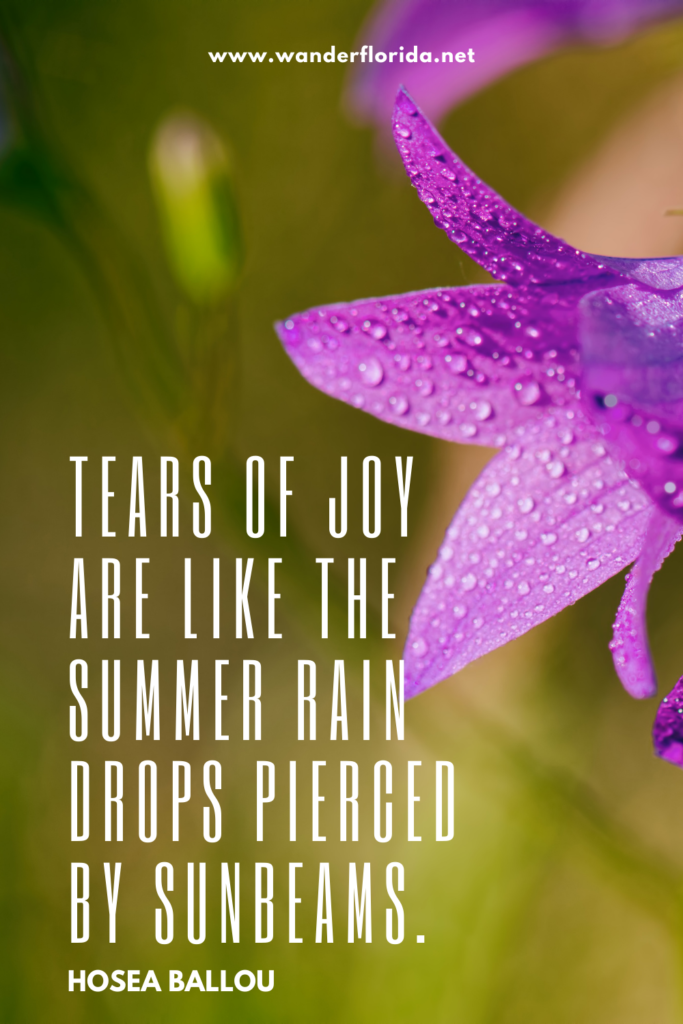 27 Quotes About Summer to Kick Off Your Vacation Adventures 3 Template 4 5