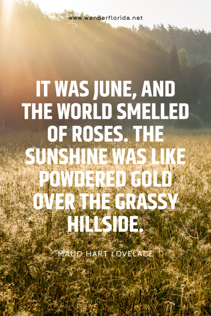 27 Quotes About Summer to Kick Off Your Vacation Adventures 5 Template 4 7