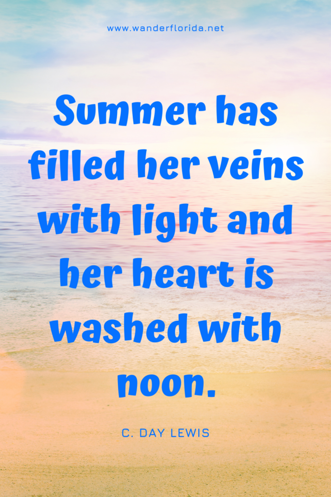 27 Quotes About Summer to Kick Off Your Vacation Adventures 6 Template 4 8